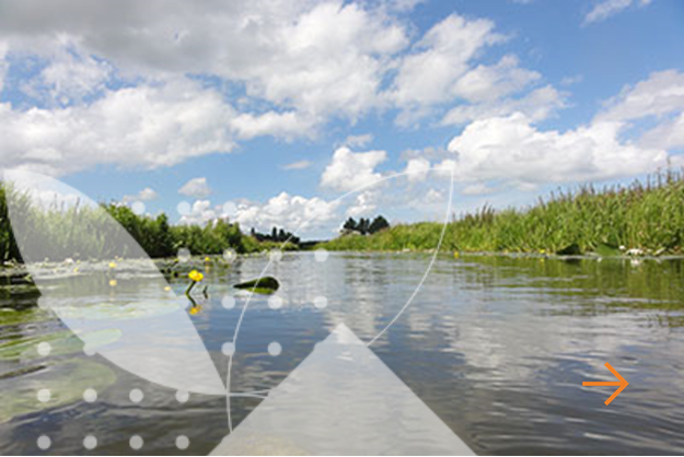Ecologisch & hydrobiologisch onderzoek