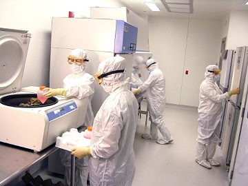 Four Eurofins lab employees performing cell banking acitivities