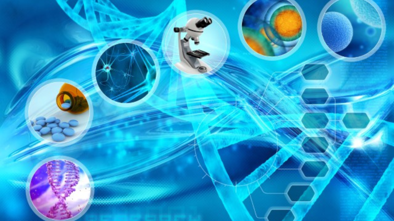 Performing extractables & leachables studies for different type of biologics