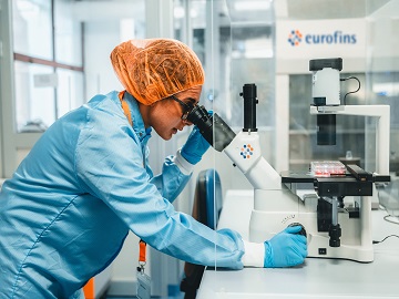 Employee performing cytotoxicity testing as part of biocompatibility testing of medical device