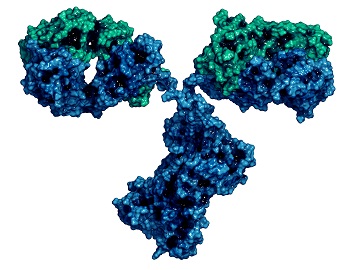 A 3D structure of a host cell protein impurity